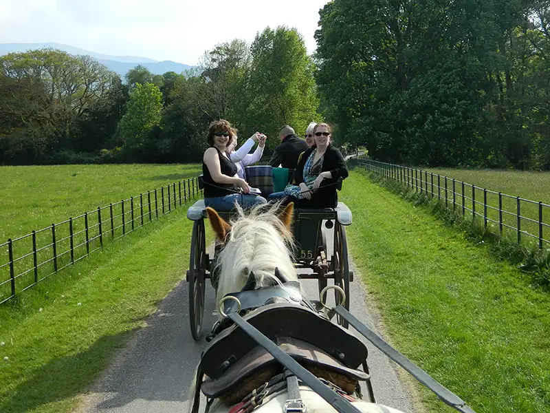 Alumni traveling in Ireland on a horse carriage