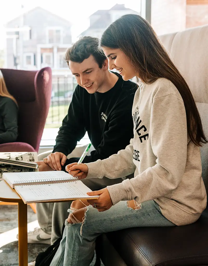 Students studying together