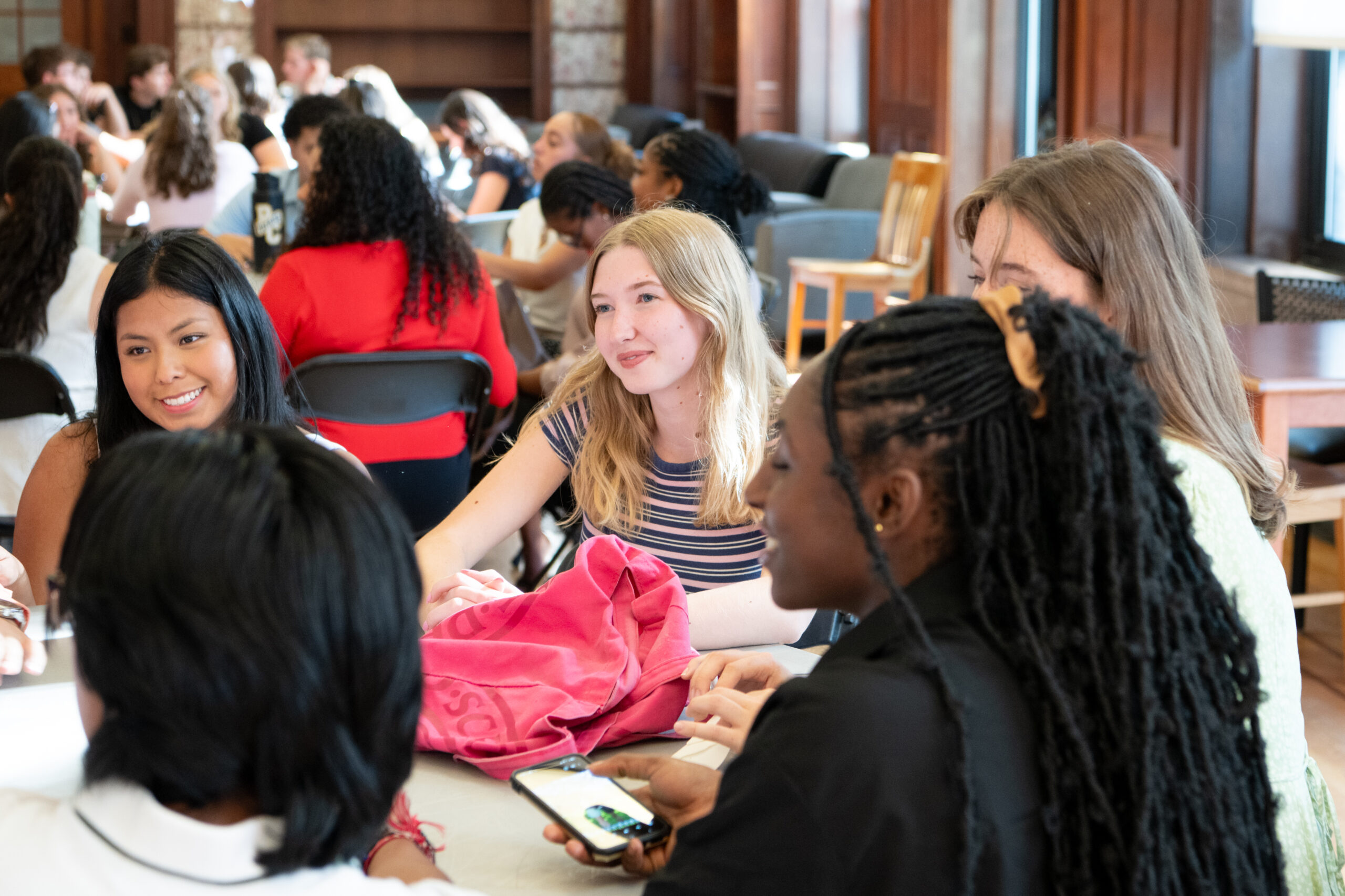 Mini Grant Application